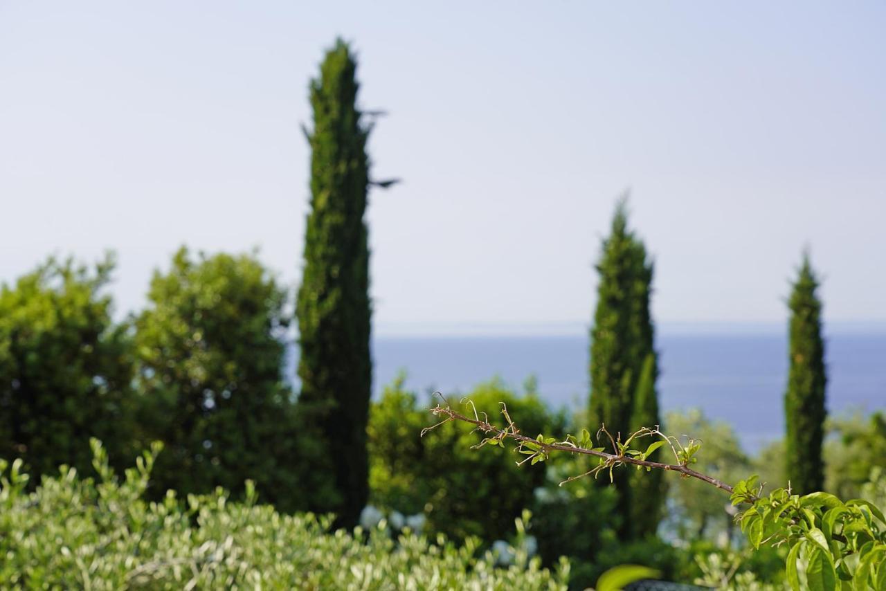 Villa Bouganville Toscolano Maderno Eksteriør billede